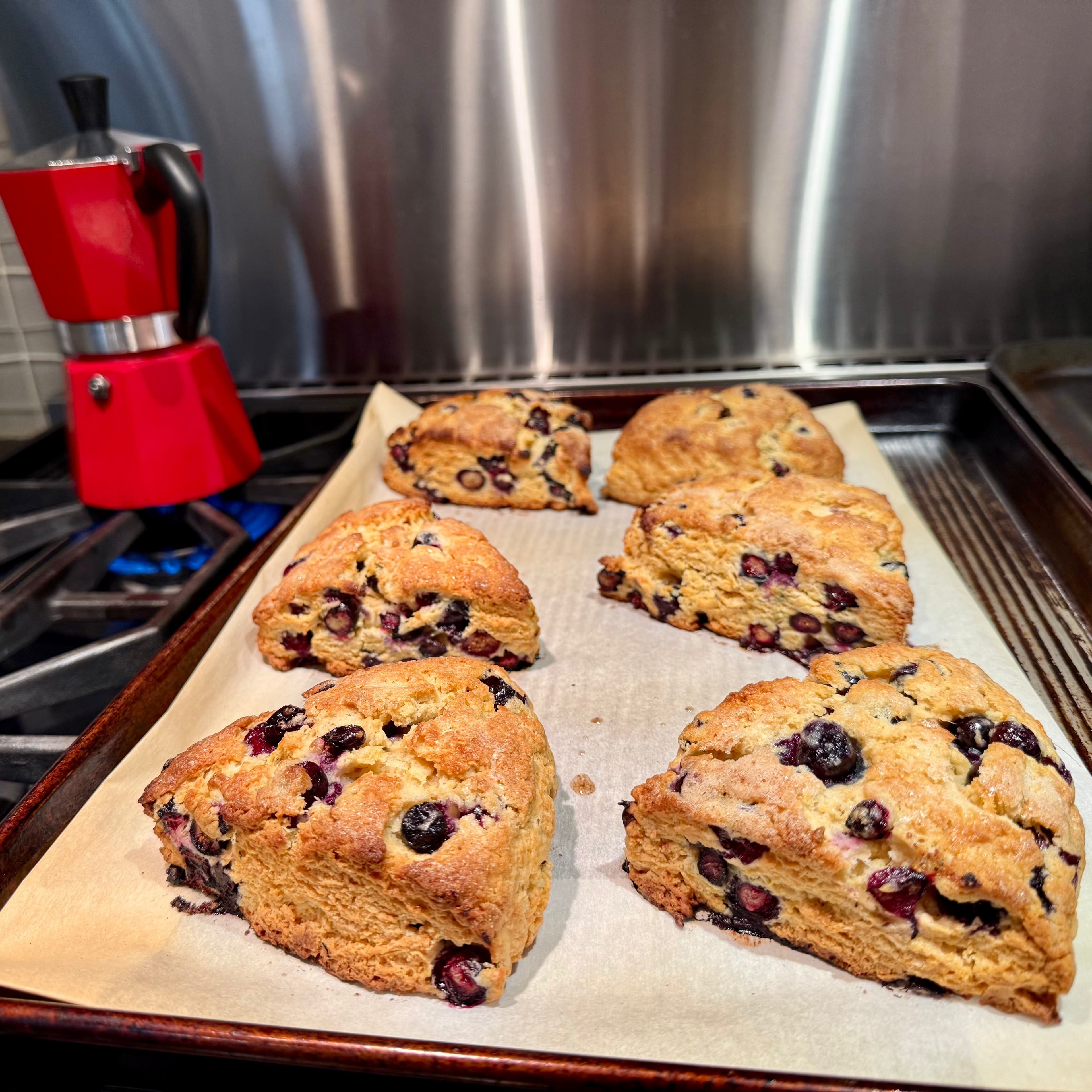 Fresh Lemon Blueberry Scones